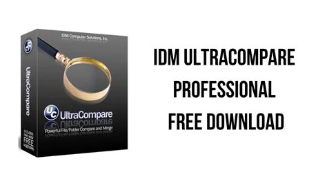 Portable IDM UltraCompare Professional 17 Free Download